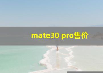 mate30 pro售价